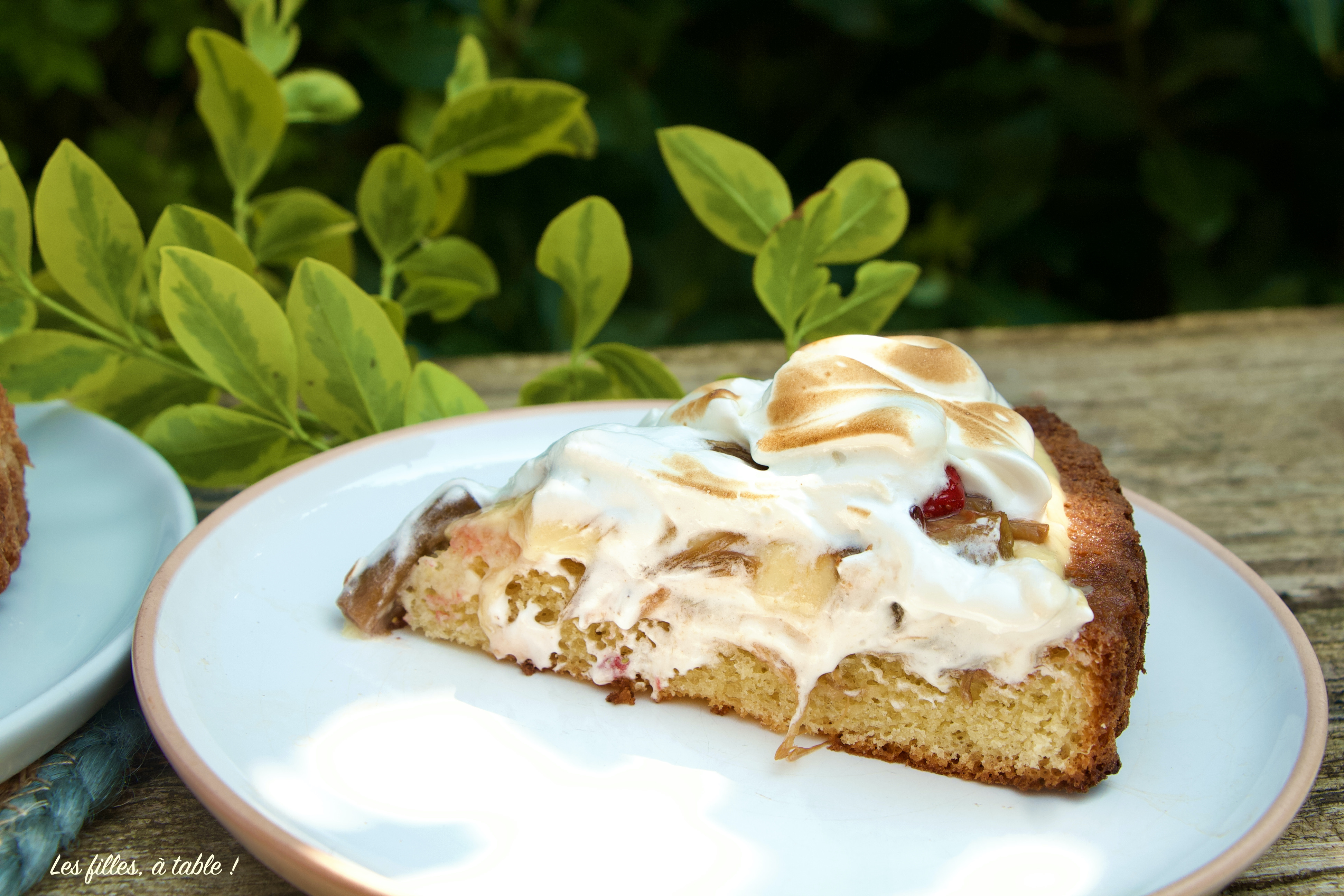 Tarte renversée rhubarbe et fraises