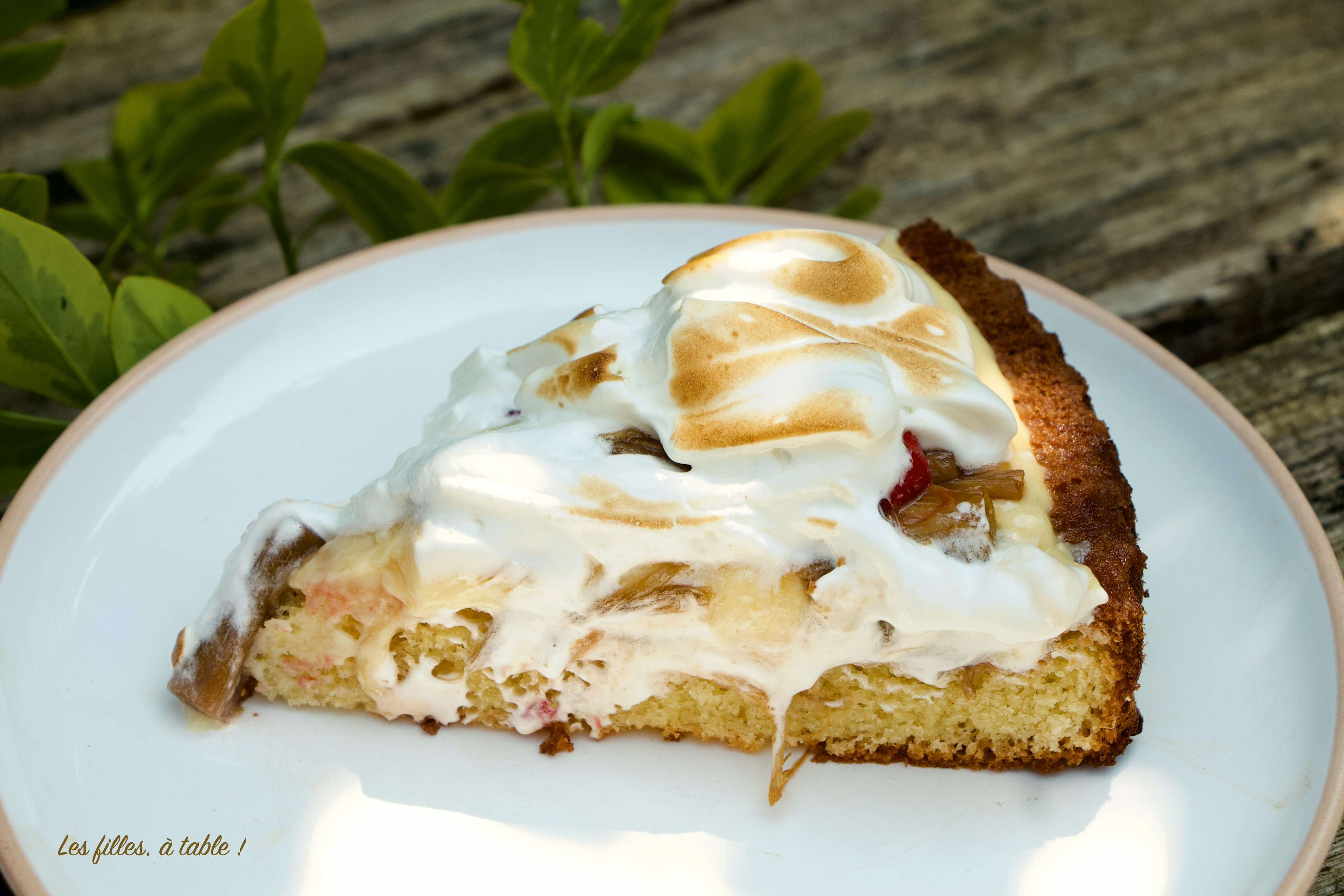 Tarte renversée rhubarbe et fraises
